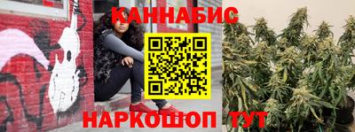 jwh Ставрополь